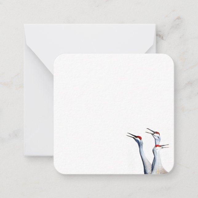 3 Sandhill Cranes Photo Stationery Flata antecknin Anteckningskort (Framsida)