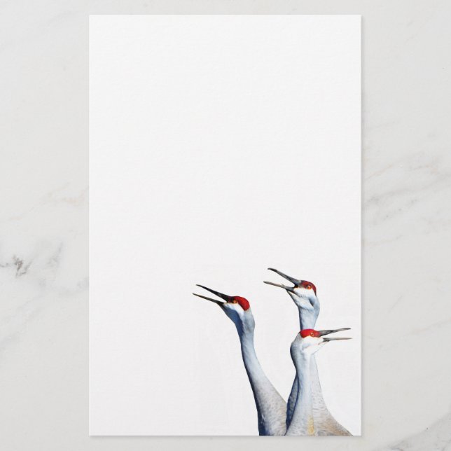 3 Sandhill Cranes Photo Stationery Papper (Framsida)