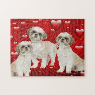 3 Shih Tzu-valpar med hjärtbakgrund Pussel