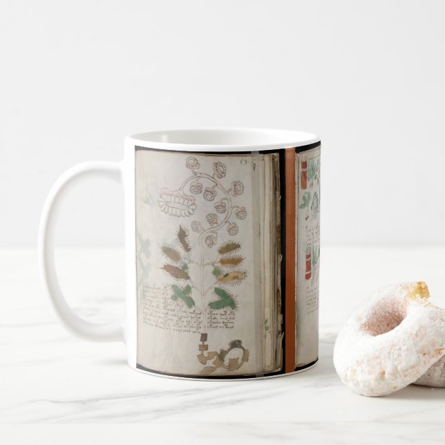 3 sidor av Voynich-manuskriptets botaniska codex Kaffemugg (Med munk)