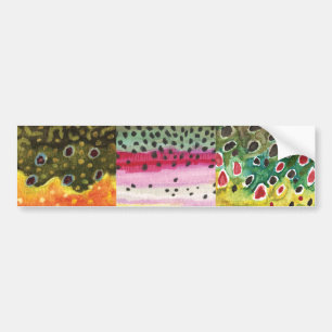 3 Skinsar: Brook, Rainbow, Brown - Flygfiske Bildekal