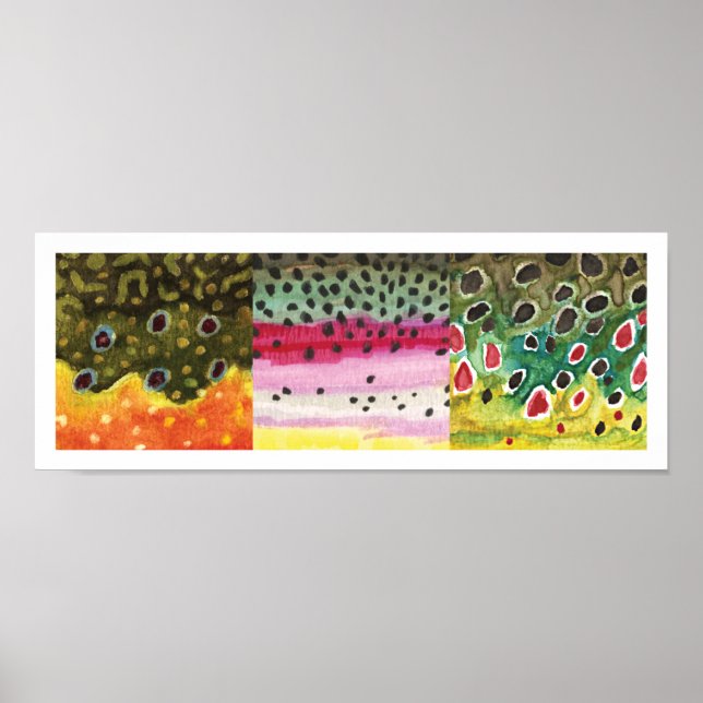 3 Skinsar: Brook, Rainbow, Brown - Flygfiske Poster (Framsidan)