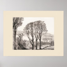 3 Träd Cornwall Tryck, Eleanor M Hughes Nytryck
