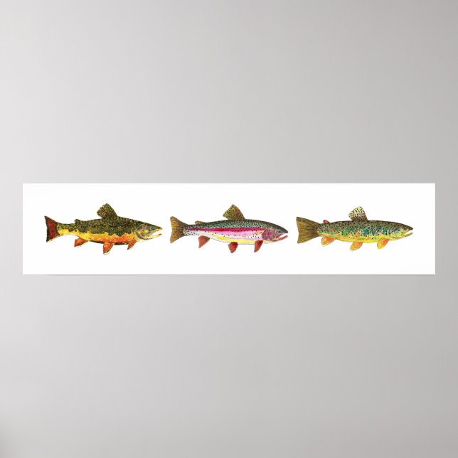 3 Trout - Brook, Brown, Rainbow Long Hoirzontal Poster (Framsidan)