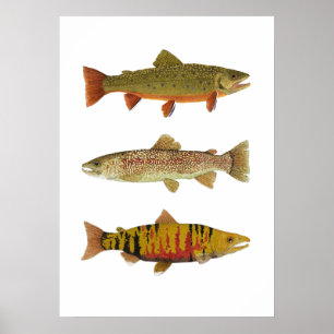 3 Trut och lax Art Poster