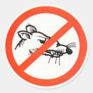 3 tum Ingen Råtta-dekal Runt Klistermärke