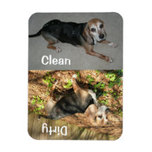 3 tum x 4 tum ren/smutsig beagle Photo Dishwasher 