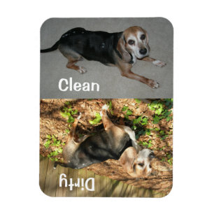 3 tum x 4 tum ren/smutsig beagle Photo Dishwasher  Magnet