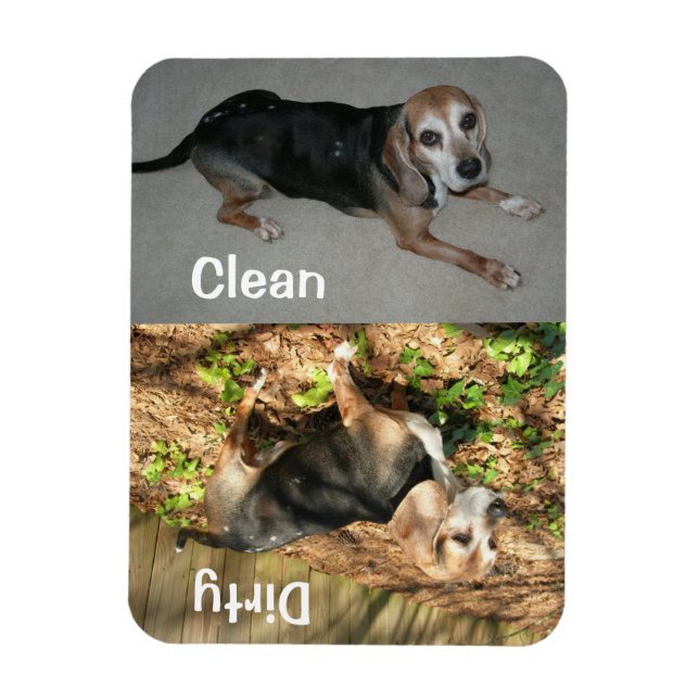 3 tum x 4 tum ren/smutsig beagle Photo Dishwasher  Magnet (Vertikal)