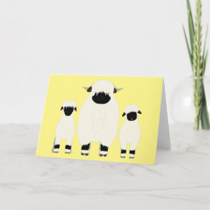 3 Valais Black Nose Sheep i en rad Kort