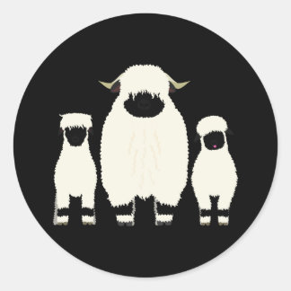 3 Valais Black Nose Sheep i en rad Runt Klistermärke