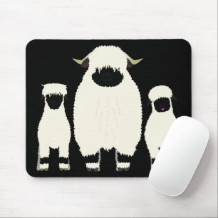 3 Valais Black Nose Sheep i rad Musmatta