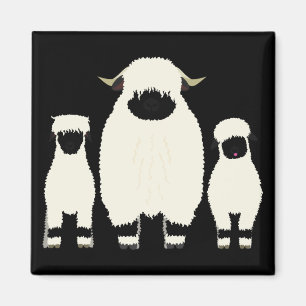 3 Valais Sheep i rad Magnet