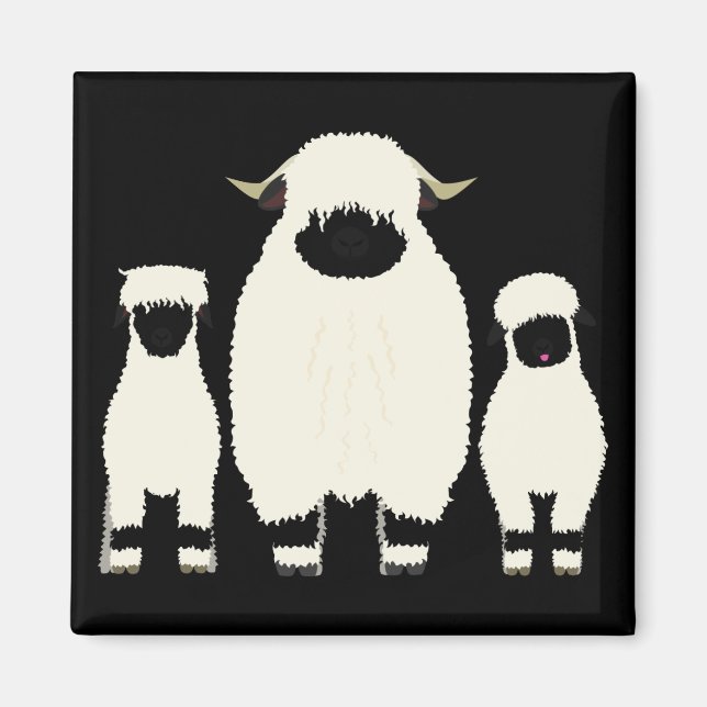 3 Valais Sheep i rad Magnet (Framsidan)