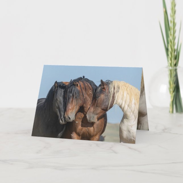 3-Vilders bachelor Stallions Greeting Card Tack Kort (Framsida)