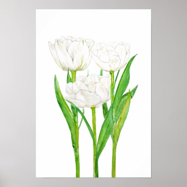 3 vita tulpanfärgade färger poster (Framsidan)