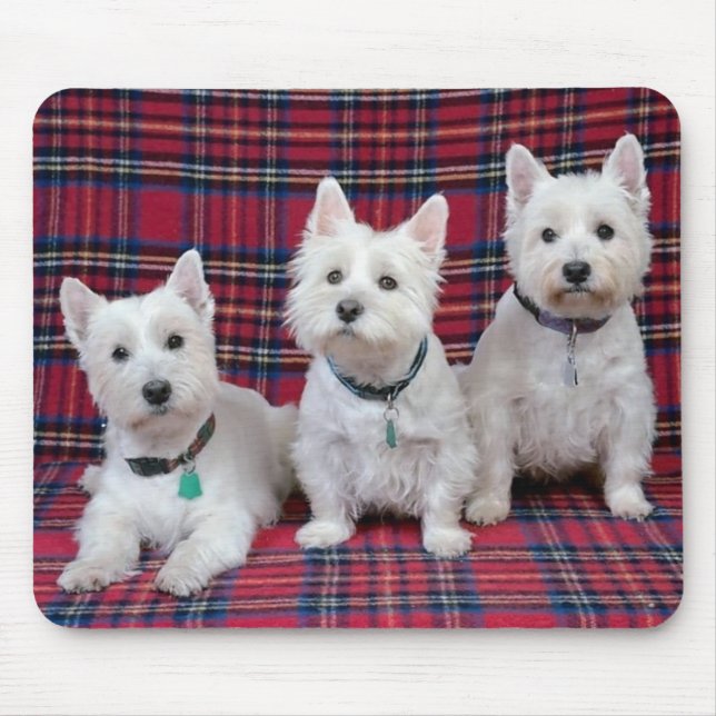 3 Westies Musmatta (Framsidan)
