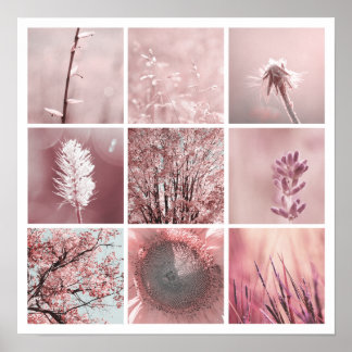 3 x 3 rosa foton Skriv ut Poster