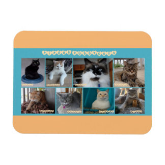 3 x 4 flexibla magneter