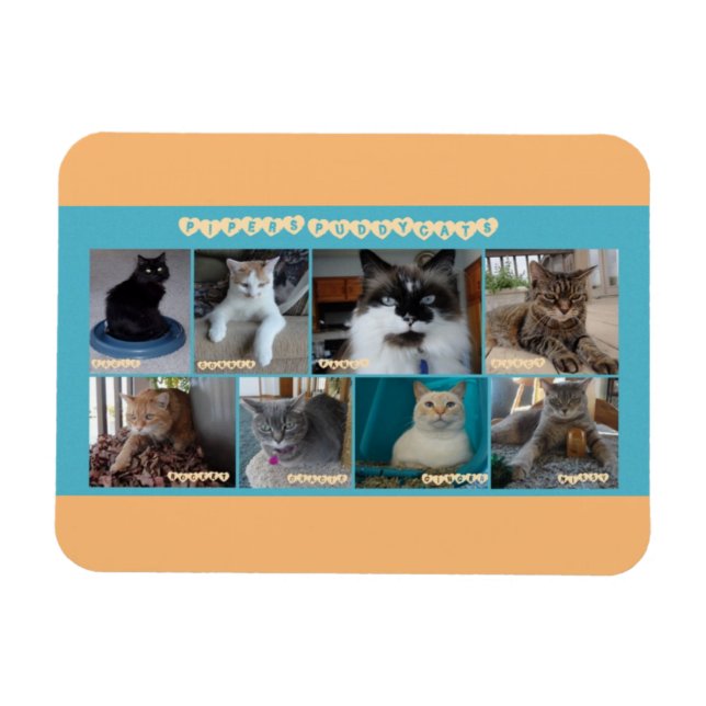 3 x 4 flexibla magneter (Horisontell)