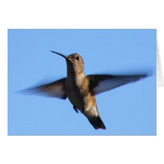3aJ Hummingbird som flyger i Blå himmel Hälsningskort