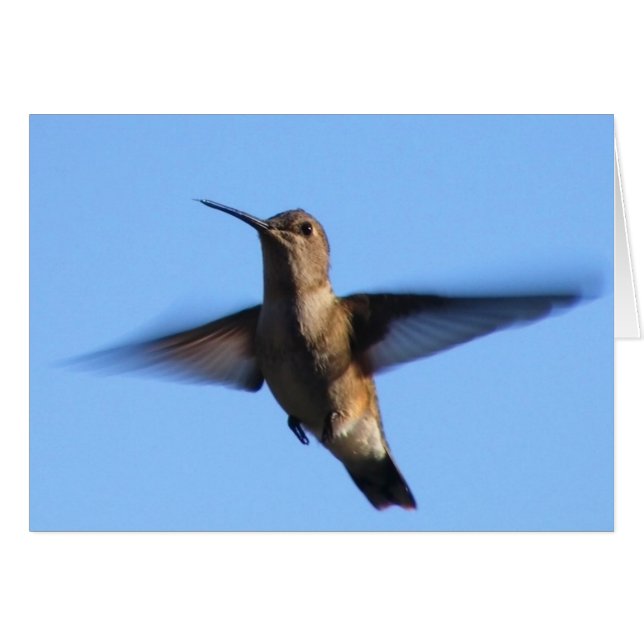 3aJ Hummingbird som flyger i Blå himmel Hälsningskort (Framsidan Horizontal)