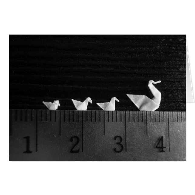 3cm familjsimma OBS kort (Framsidan Horizontal)