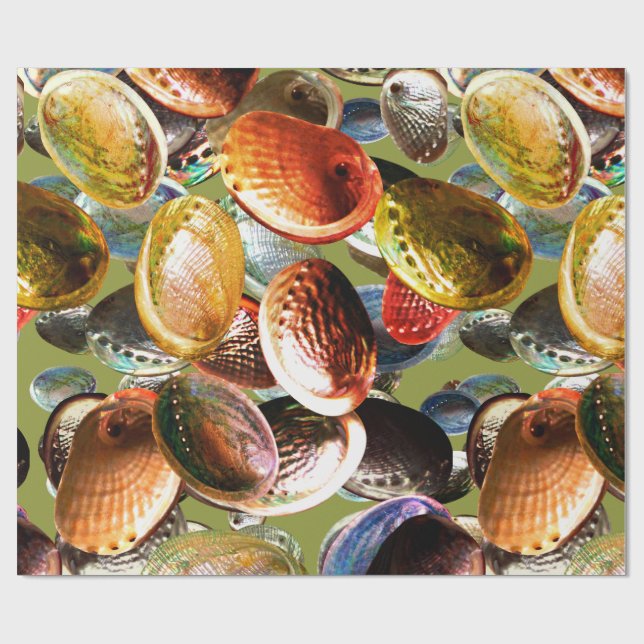 3D Abalone Colorful Seashell Presentpapper (Platt)