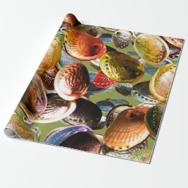 3D Abalone Colorful Seashell Presentpapper