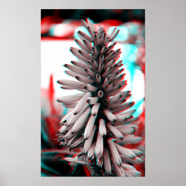 3D Crazy Flower Poster (Framsidan)