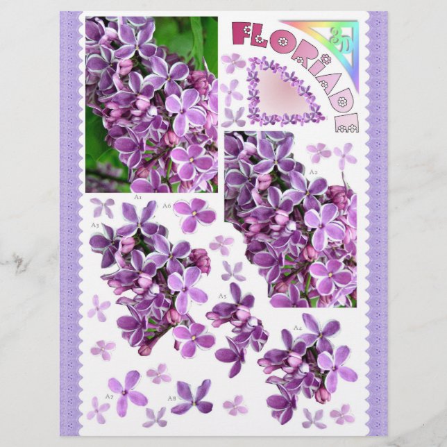 3D Decoupage - Floriade - Lilac-trädgårdsblommor (Framsida)