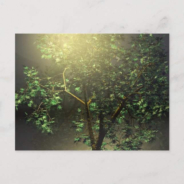 3D Japansk apel Träd Vykort (Framsida)