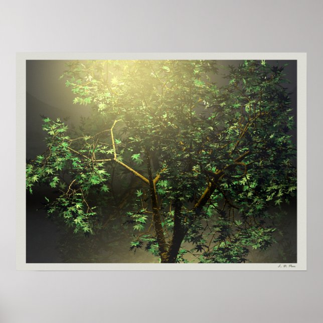 3D Japansk Lönn Poster (Framsidan)