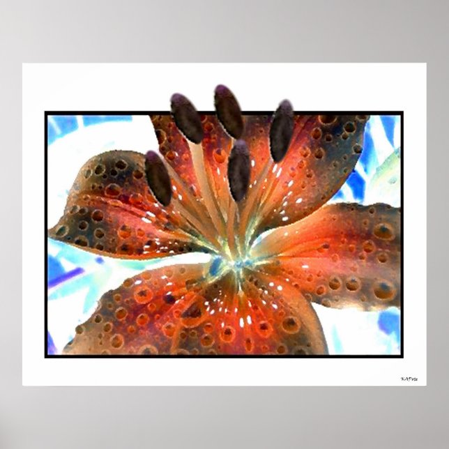 3D-konst Lilie Poster (Framsidan)