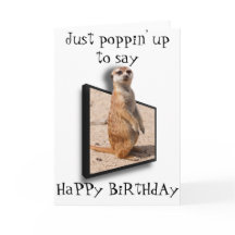 3D Meerkat | Bara att säga.. Valfri tillfälle