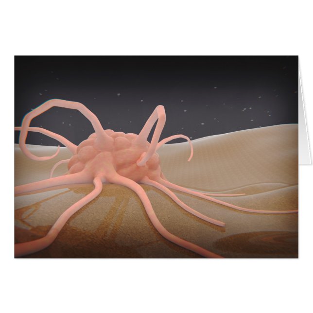 3D-rening av makrofage fagocytos Hälsningskort (Framsidan Horizontal)