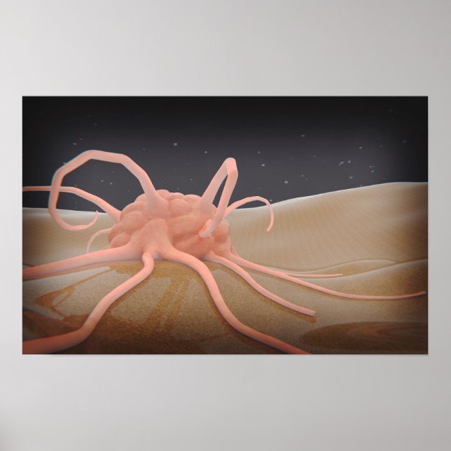 3D-rening av makrofage fagocytos Poster (Framsidan)