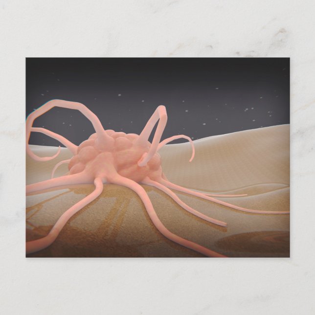 3D-rening av makrofage fagocytos Vykort (Framsida)