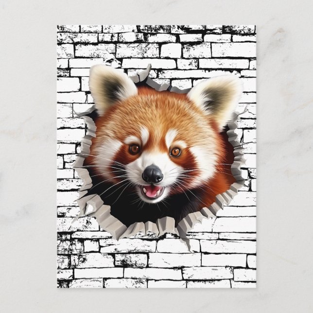 3D Röd Panda Väggbrott Konst – Realistisk Safari Vykort (Framsida)