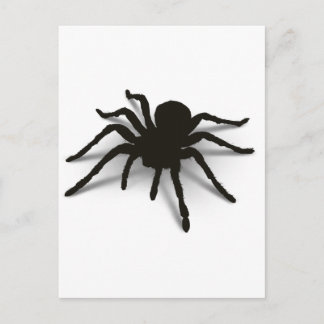 3D-spider Vykort