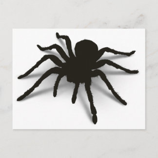 3D-spider Vykort