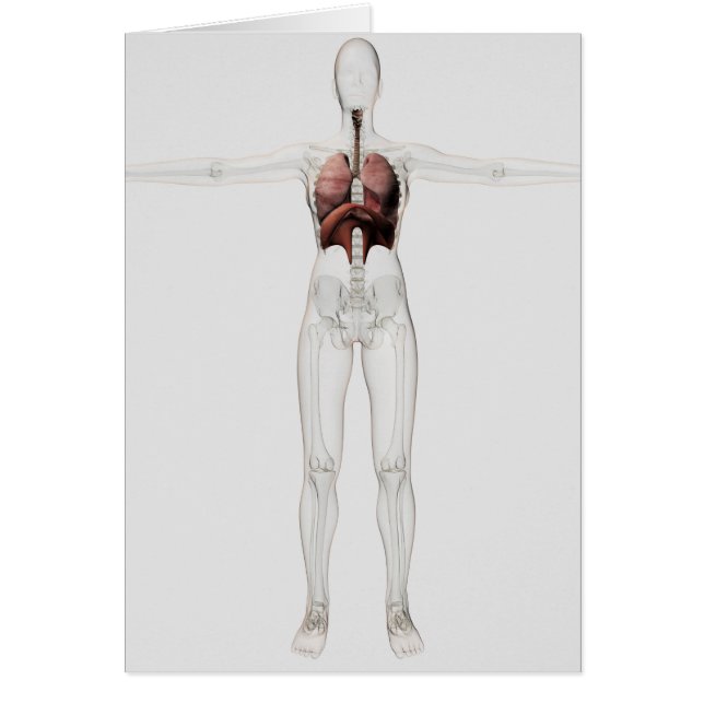 3D vy av kvinnligt andningssystem Hälsningskort (Framsidan)