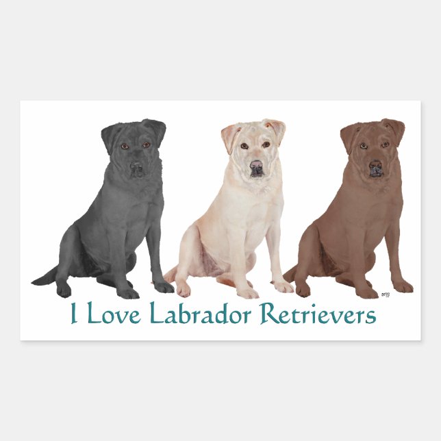 3Labs Rektangulärt Klistermärke (Framsida)
