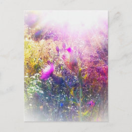 3THISTLES POSTCARD VYKORT