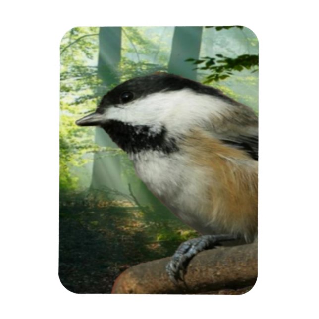 3x4-fotomagnet magnet (Vertikal)