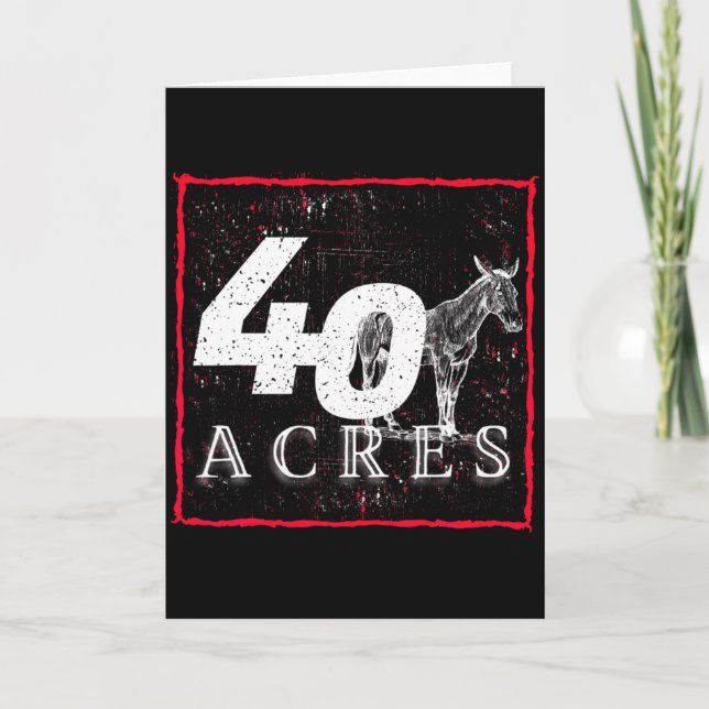40 Acres And A Mule Black History T Shirt  Kort (Framsida)
