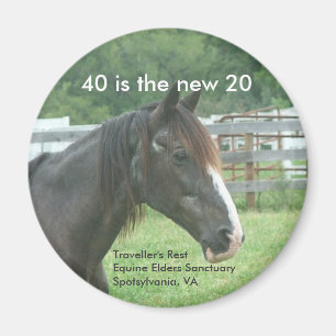 40 är de nya 20na magnet
