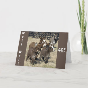 **40 BIRTHDAY HUMOR FRÅN DONKEYS INTE MINDRE** KORT