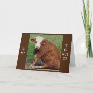 *40* BIRTHDAY HUMOR FRÅN EN MOOING COW KORT