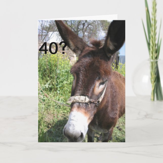 40? DET SKULLE ALDRIG HA GJORT! KORT (Framsida)